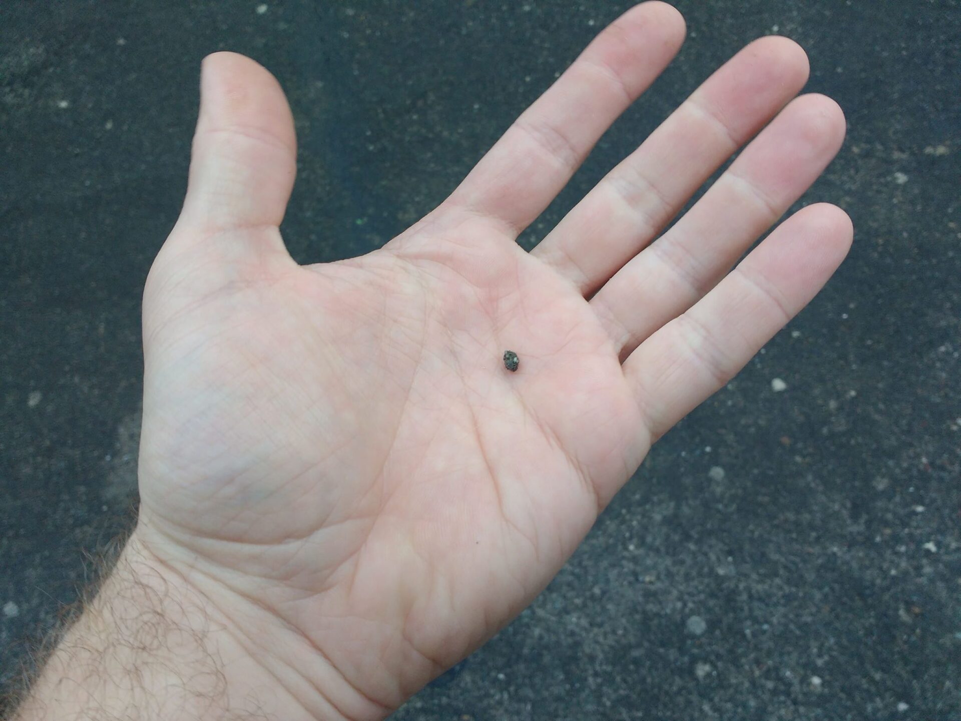 Kiezel in je schoenen