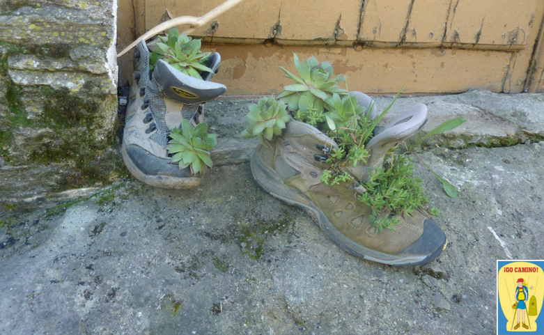 Onderhoud van uw wandelschoenen
