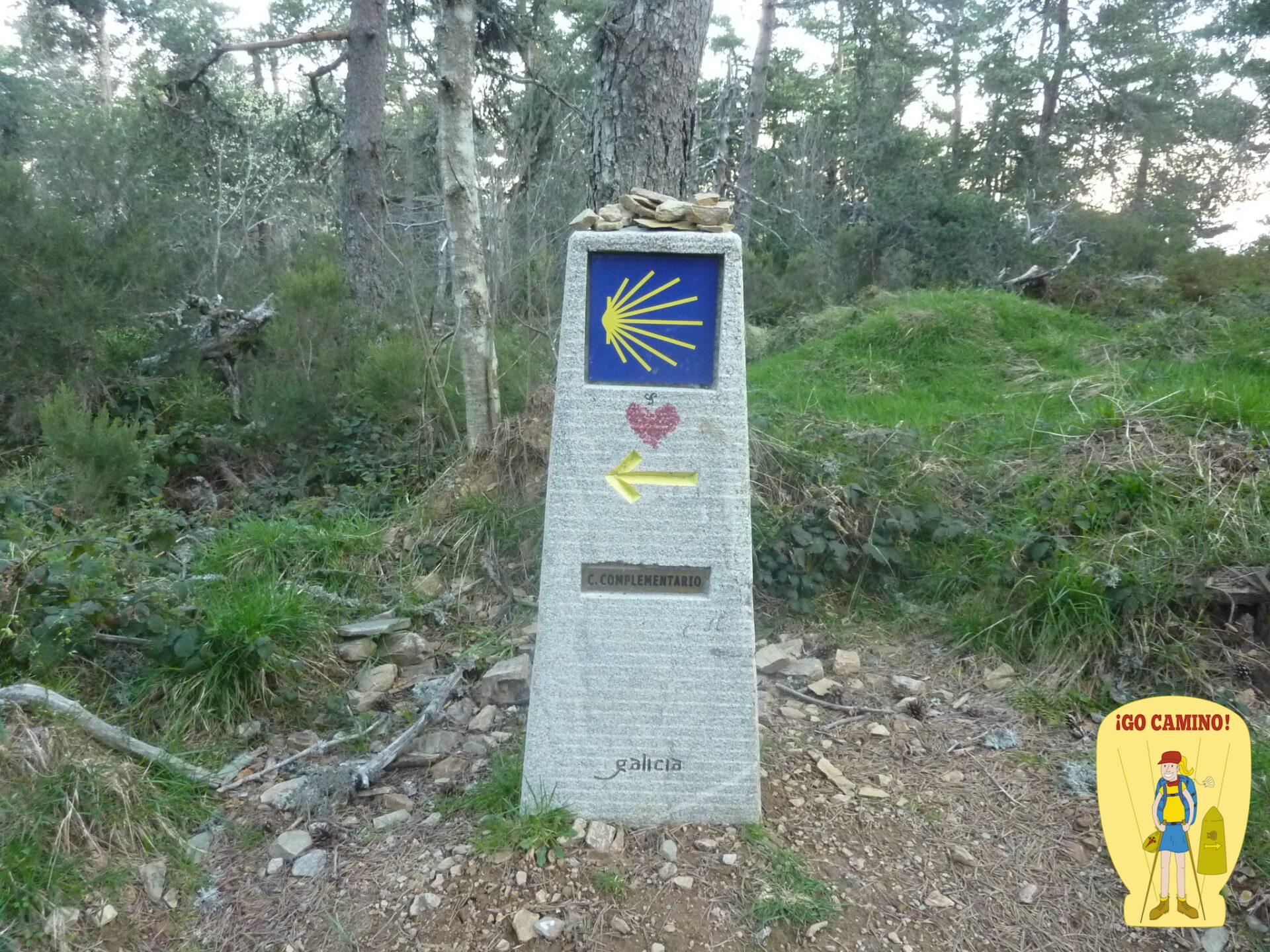 Camino de Santiago